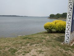 -丁香湖公园