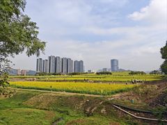 -光明小镇欢乐田园