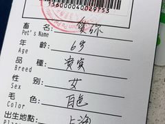 -申普宠物医院·心脏介入·心血管微创(总院)