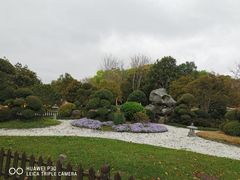 -上海鲜花港