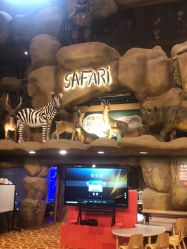 -卡通尼·Safari非洲探索乐园·生日会(金桥国际商业广场店)