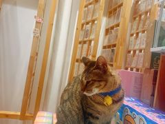 -猫的天空之城概念书店(杭州南宋御街店)