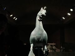 -甘肃省博物馆