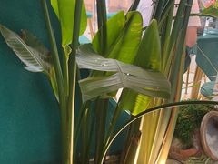 -相遇·川湘融合菜(丹阳吾悦广场店)