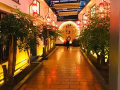 -小江南(老洋桥店)