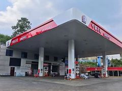 -金盾石化加油站(合肥路店)