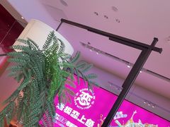 -老板恋上鱼(恒隆广场店)