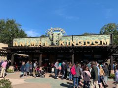 -奥兰多迪士尼动物王国乐园