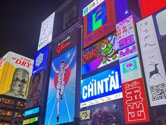 -道顿堀水上观光船(太左衛門橋船着場)