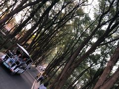 -东湖磨山景区