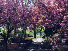 -石家庄市植物园