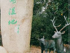 -溱湖国家湿地公园