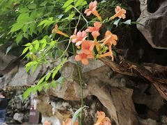 -苏浙徽·农家大院(吴江中山南路店)
