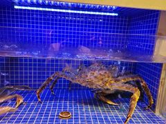 -箸福·夜上海(雨花客厅店)