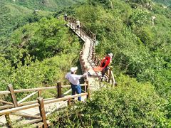 -大岭沟猕猴桃谷风景区
