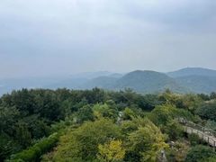 -南京老山国家森林公园