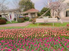 -玄武湖景区-情侣园游乐场