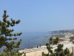 -养马岛旅游度假区
