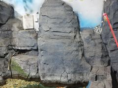 -嘉兴海底世界