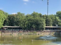 -尚庄度假村·庭台树下·户外烧烤·团建CS·轰趴营地(上庄水库店)