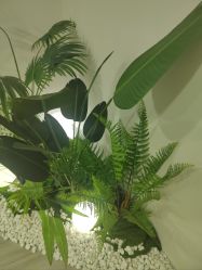 -HEYAN荷妍专业脱毛连锁机构