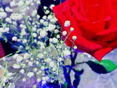 -九献创意菜·牛排馆(亮马河花园店)