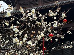 -钱王祠