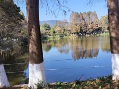 -云南民族村
