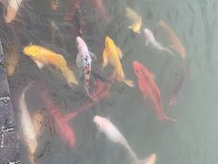 -嬉乐湾休闲旅游区