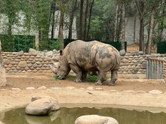 -北京野生动物园