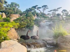 -罗红摄影艺术馆