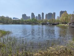 -群力丁香公园