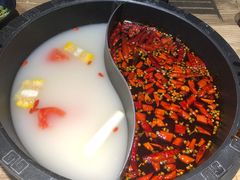 -销魂美蛙鱼头火锅(上海首店)