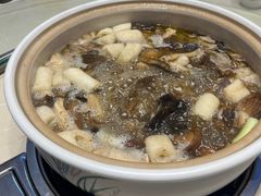 -爱膳菌锅锅(阳南店)