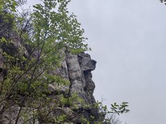 -宝岩生态观光园