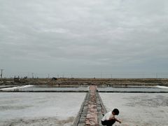 -莺歌海盐场