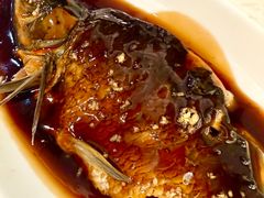 西湖醋鱼-楼外楼(西湖景区孤山路店)