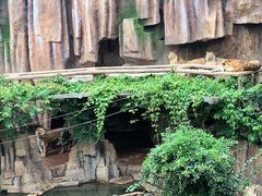 -长鹿旅游休博园