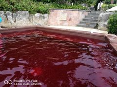 -天目湖涵田半山温泉