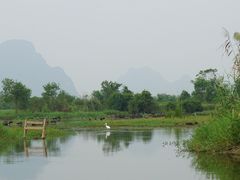 -会仙湿地