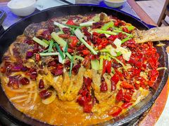 老板恋上鱼-老板恋上鱼(恒隆广场店)