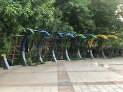 -金星公园