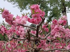 -元大都城垣遗址公园