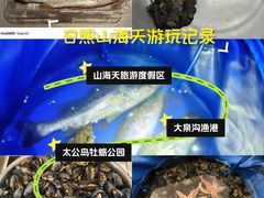 -日照灯塔风景区