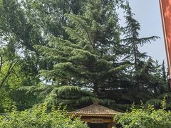 -大连市第二十四中学