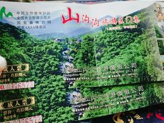 门票-山沟沟景区