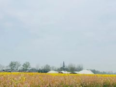 -中国天府农业博览园