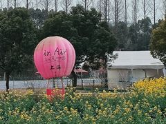 -嘉北郊野公园