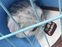 -瑞派宠物医院(搏威敦和院)