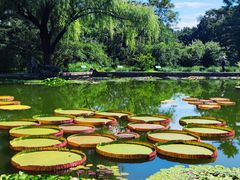 -国家植物园南园